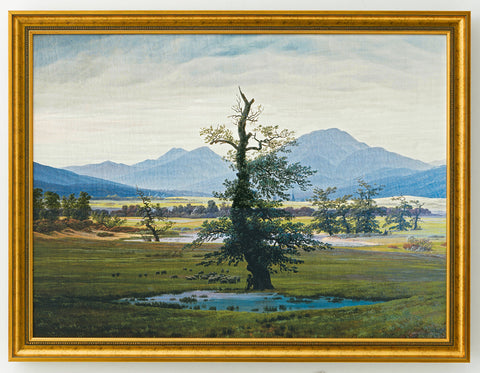 Caspar David Friedrich: Bild &quot;Der einsame Baum&quot; (1821) - Bild 1