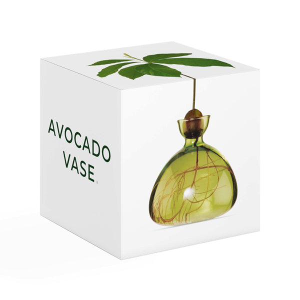 Avocado-Vase - Grasgrün