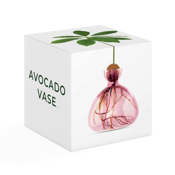 Avocado-Vase - Rosa