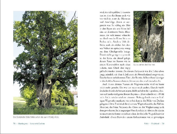 50 sagenhafte Naturdenkmale in Bayern: Regionen Schwaben, Ober- und Niederbayern - Bild 4