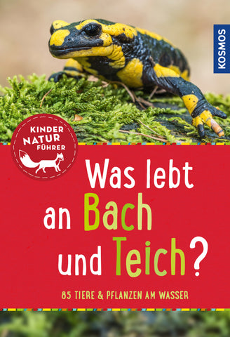 Was lebt an Bach und Teich? - Bild 1