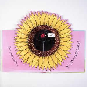 Sam pflanzt Sonnenblumen - Bild 2