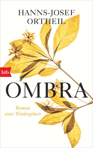 OMBRA - Bild 1