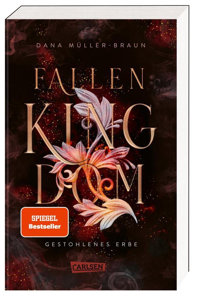 Fallen Kingdom 1: Gestohlenes Erbe - Bild 1