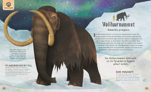 Tiere: 50 Geschichten über Mammut, Panda, Elefant und Co. - Bild 3