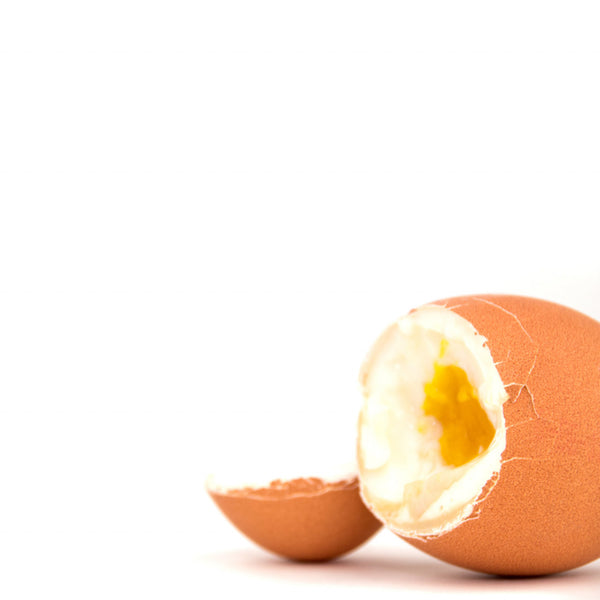 cregg - Die feine Art Eier zu öffnen - schwarz