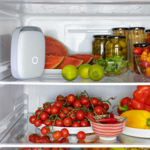 Nachhaltiger Kühlschrank Luftreiniger Shelfy