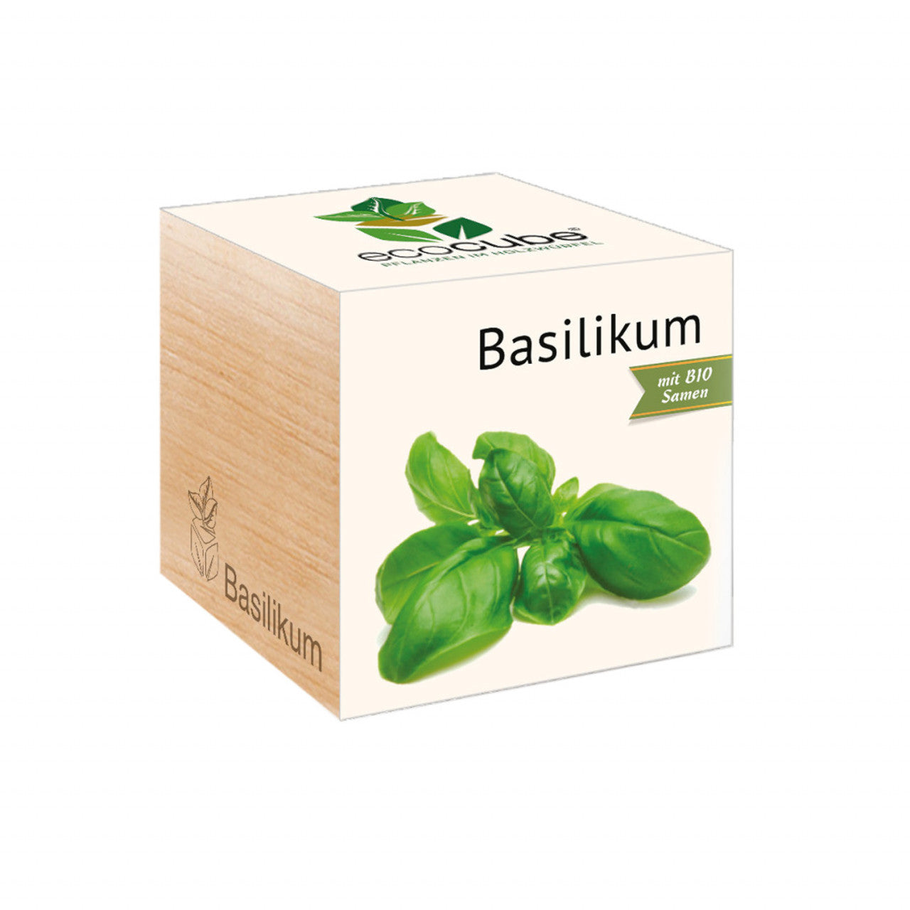 Ecocube - Basilikum
