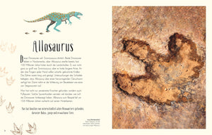 Wundervolle Welt der Dinosaurier und der Urzeit - Bild 5