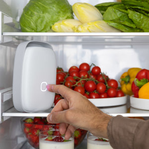 Nachhaltiger Kühlschrank Luftreiniger Shelfy